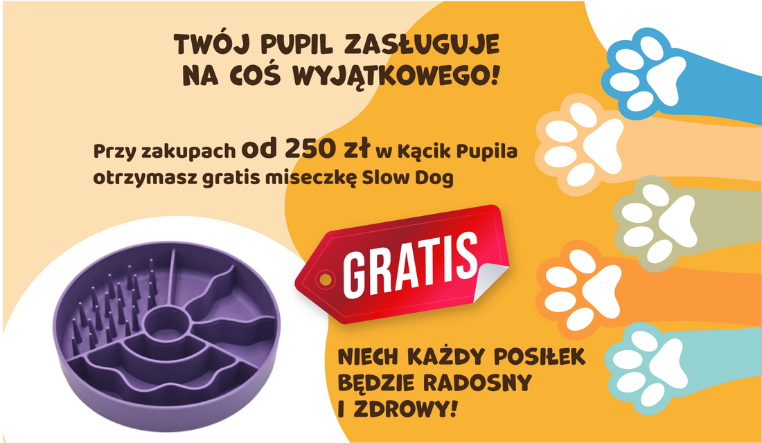Gratis miseczka Slow Dog do zakupów 250 zł