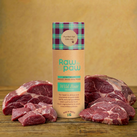 RAW for PAW WILD Boar - dzik liofilizowane przysmaki 45g