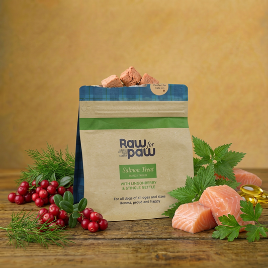 RAW for PAW – Salmon 50g – Łosoś liofilizowane przysmaki